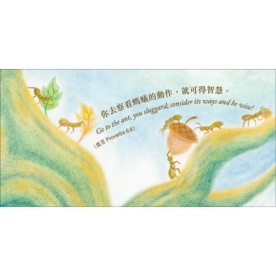 起動人生金句咭D_你去察看螞蟻動作
