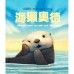 海獺奧德 海獺奧德