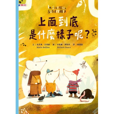 上面到底是什麼樣子呢？