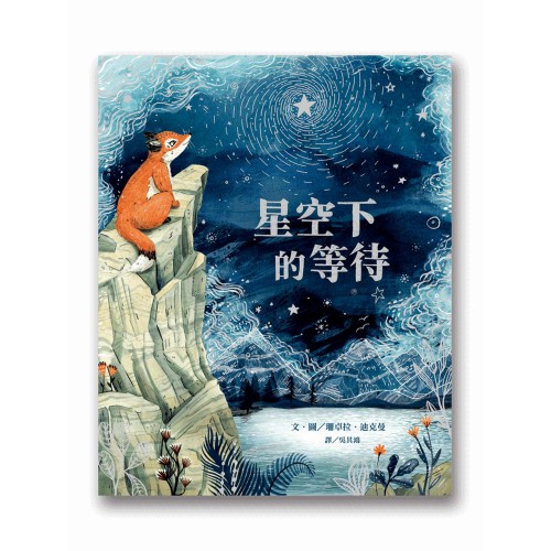 星空下的等待