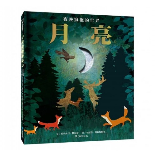 月亮：夜晚擁抱的世界