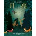 月亮：夜晚擁抱的世界