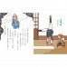 字的傳奇3：搶救倉頡爺爺