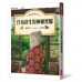 神奇柑仔店13：合身花生與神祕實驗