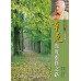 辛克深度靈修之路