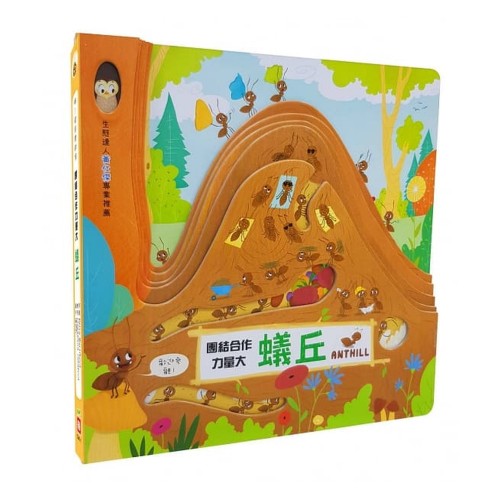 嗨!這是我的家:蜂巢(勤勞工作收穫多) 嗨!這是我的家:蜂巢(勤勞工作收穫多)